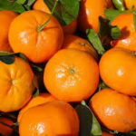 CLEMENTINE +/- 1KG