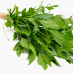 LEUSTEAN LEGATURA