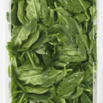 BABY SPANAC 100G